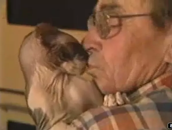 Best Retired Plumber With Some Claims to Fame