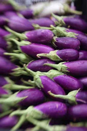 Best Farmers' Market