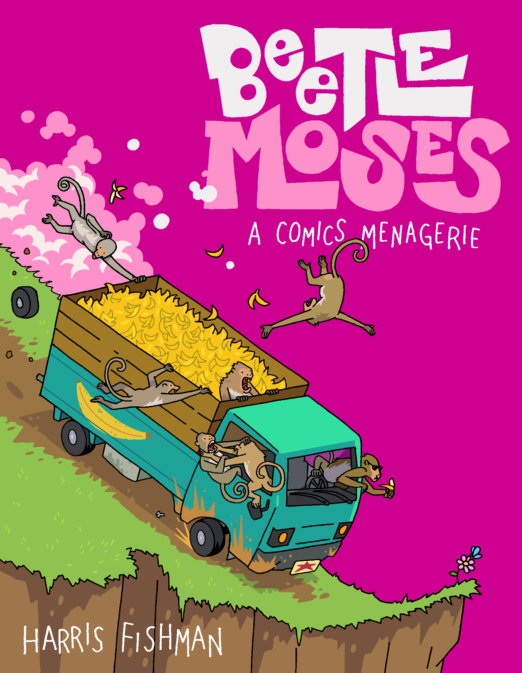 Harris Fishman: Beetle Moses — Education in Austin Books & Comics