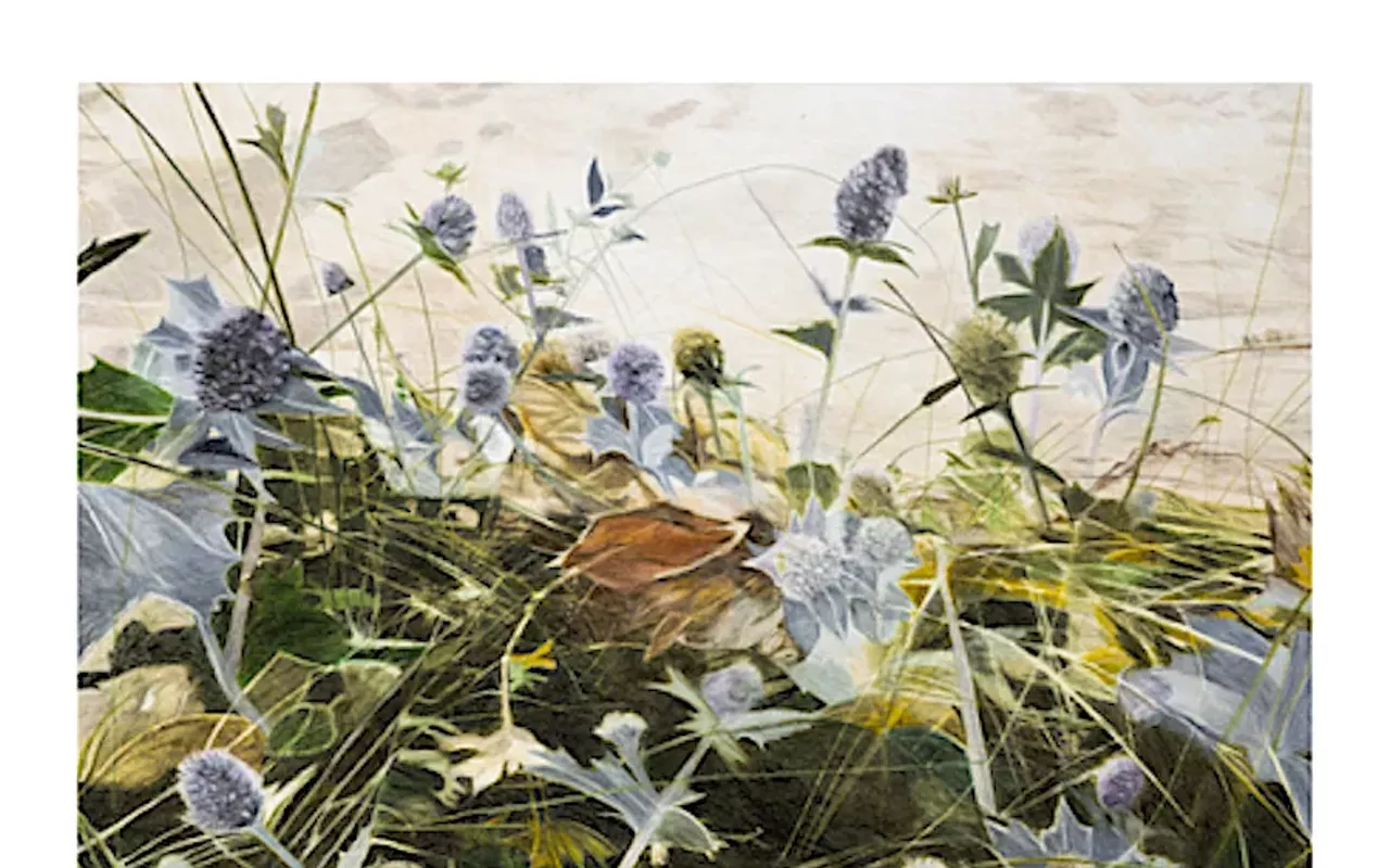 Image: Wally Workman Gallery: Walking