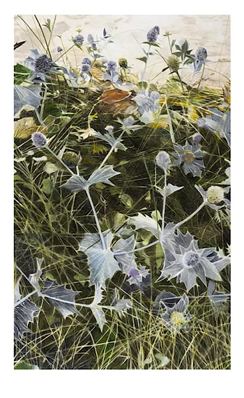 Image: Wally Workman Gallery: Walking